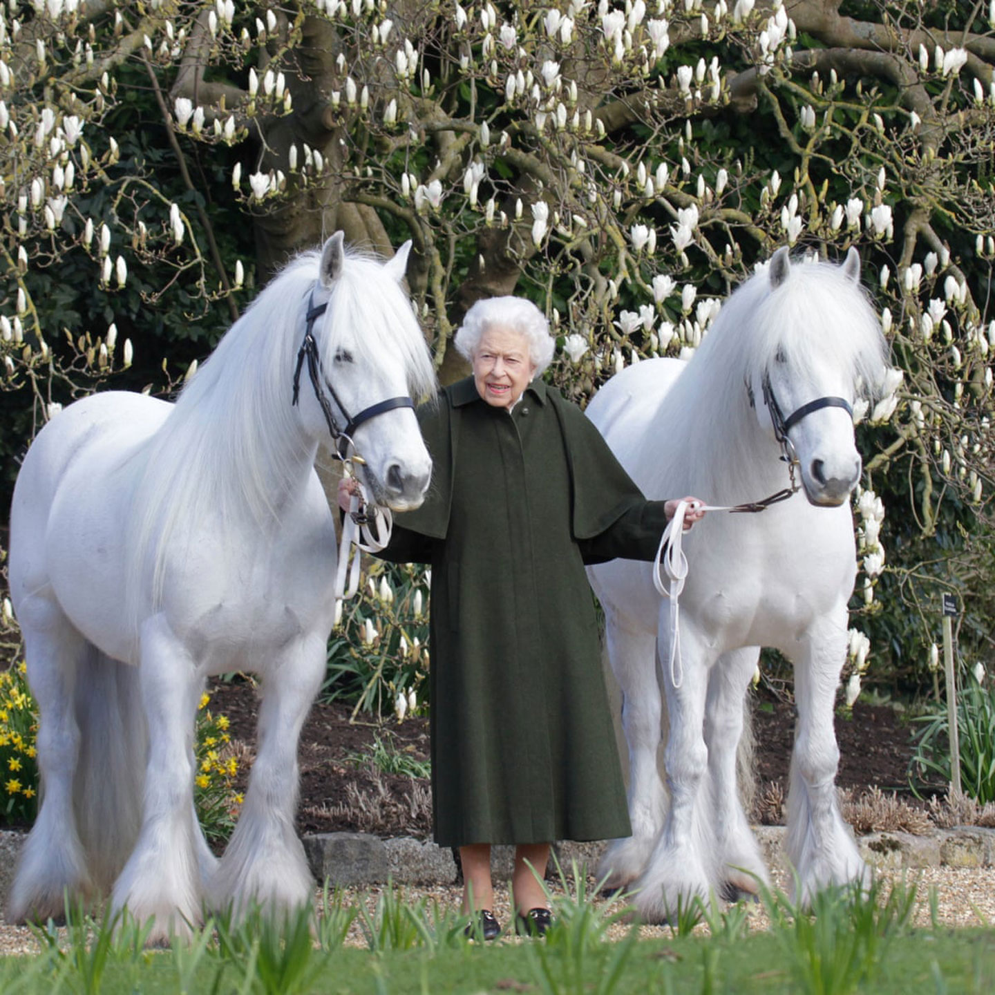 Queen Elizabeth II’s official portrait for her 96th birthday